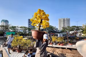 Chợ hoa xuân “Trên bến dưới thuyền” tại bến Bình Đông (Quận 8) luôn có nét độc đáo. Ảnh: T.G.