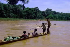 Người Tsimané giỏi nghề đánh bắt cá.