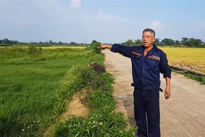 Ông Nguyễn Xuân Lệ chỉ tay về khu đồng chưa được chia và đang có dấu hiệu hoang hóa.