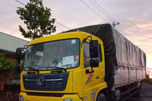 Xe tải sử dụng mã QR luồng xanh giả để chở người và hàng hoá từ vùng dịch về Gia Lai.