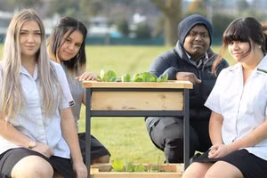 Nhóm học sinh tái chế bàn học thành hộp trồng rau.