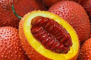 Sản phẩm từ gấc rất có ích cho cơ thể con chúng ta.