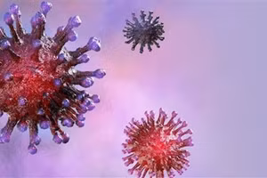 Hai chủng cúm có thể đã tuyệt chủng 