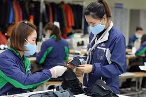 Tỷ lệ thất nghiệp trong độ tuổi lao động quý II là 2,62%. Ảnh minh họa