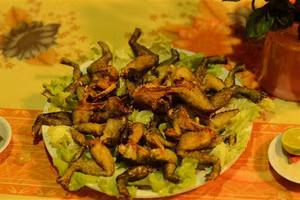 Ếch hương chế biến được nhiều món, nhưng chiên giòn được dân nhậu thích thú hơn cả.