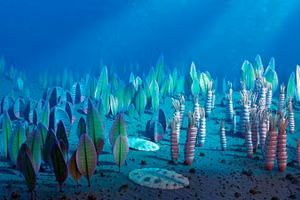 Gene “quái vật biển” 500 triệu năm tồn tại ở người