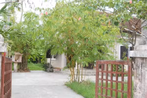 Vườn ai mướt quá. Ảnh: Phanxipăng.