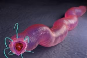 Giun tròn hồi sinh sau thời gian dài ngủ đông.