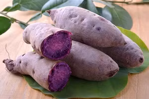 Khoai lang tím đang được người dân trồng nhiều ở các vùng đồng bằng.