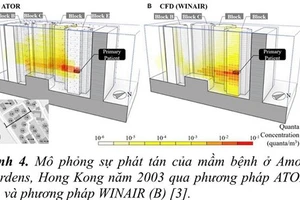 Sự phát tán của virus trong thí nghiệm mô phỏng mà nhóm nghiên cứu chỉ ra.