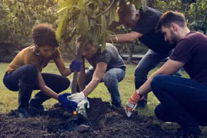 Trồng cây xanh có thể làm giảm lượng CO2.