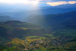 WHO tìm ra nguồn gốc phát sinh dịch Covid-19? 