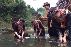 Vào mùa rêu, các thiếu nữ dân tộc Dao ở miền “đất ngọc” lại rủ nhau ra suối tìm những khóm rêu xanh non.