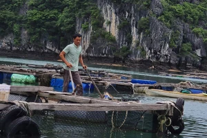 Người dân tại các cơ sở NTTS mong muốn sớm bán được thủy sản, ổn định cuộc sống.