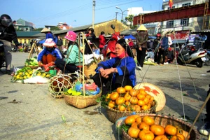 Những sản vật được đồng bào vùng cao bày bán ở phiên chợ mùa xuân Bắc Mê.