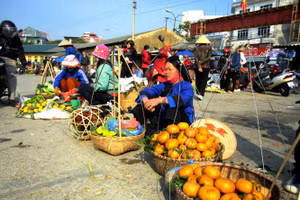 Những sản vật được đồng bào vùng cao bày bán ở phiên chợ mùa xuân Bắc Mê.