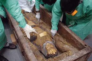 Các chuyên gia khảo cổ kiểm tra xác ướp.