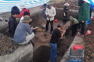 Cuộc khai quật tại di chỉ Luy Lâu năm 2014 – 2015.