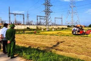 Công an giúp dân gọi máy gặt thu hoạch lúa. 