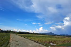 Vùng quy hoạch đấu giá đất Le Le.