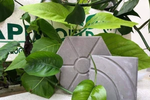 Gạch được làm từ phế thải bảo vệ môi trường.
