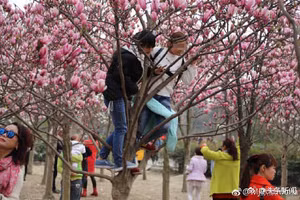 Ảnh minh họa/INT