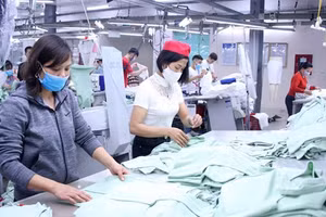 Theo dự tính, có khoảng hơn 12,8 triệu lao động nhận hỗ trợ từ Quỹ Bảo hiểm thất nghiệp.