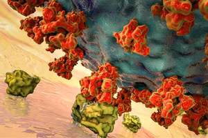 Khôi phục chuỗi gen gây Covid-19 bí mật bị xóa 