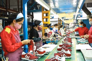 Ảnh minh họa/INT