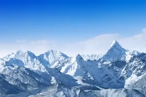 Khoảng 1/2 virus dường như rất thích hợp với cuộc sống ở băng.