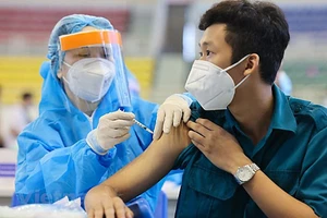 Trong 6 tháng sau khi nhiễm bệnh, hệ miễn dịch đủ sức đề kháng để chống lại virus. Ảnh minh họa