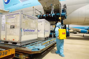 Lượng vắc-xin lớn được cung ứng cho các tỉnh phía Nam tiếp nhận tại Sân bay Tân Sơn Nhất.