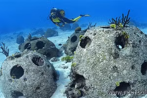 Nghĩa trang San hô Vĩnh cửu là một phần của công tác tái tạo, phục hồi môi trường biển.