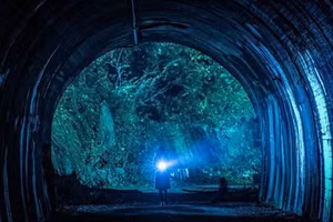 5 đường hầm ma ám nổi tiếng thế giới