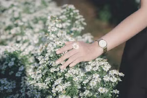 Ảnh minh họa/INT.