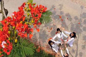 Ảnh minh họa/INT.