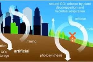 1,8g SiC cần khoảng 177 kW/h năng lượng.