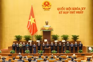 Ảnh minh họa/INT