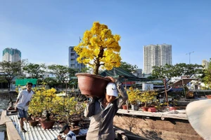 Chợ hoa xuân “Trên bến dưới thuyền” tại bến Bình Đông (Quận 8) luôn có nét độc đáo. Ảnh: T.G.