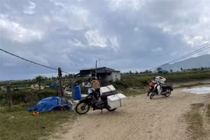 Do dịch bệnh Covid-19, thị trường đóng băng nên khu vực Cồn Vạn chỉ lác đác vài tiểu thương trong tỉnh tới mua hàng với số lượng nhỏ lẻ.