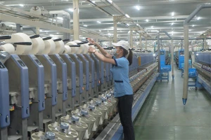 Kim ngạch xuất khẩu hàng hóa 6 tháng ước đạt 789,4 triệu USD, tăng 15,4%. 