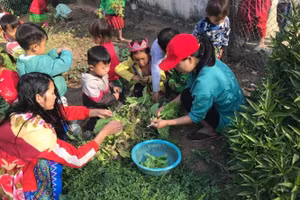 Cô Mỷ (ngoài cùng bên phải) cùng đám trò nhỏ nhặt rau, chuẩn bị cho bữa cơm trưa. Ảnh: Nhân vật cung cấp