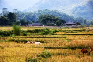 Một ngày Tú Lệ