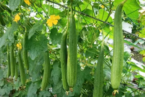 Ảnh minh họa/INT.