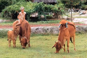 Ảnh minh họa/INT.