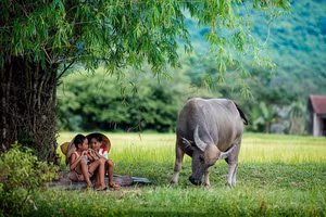 3 con giáp có sự nghiệp kinh doanh vượng phát nhất trong 6 tháng đầu năm 2021