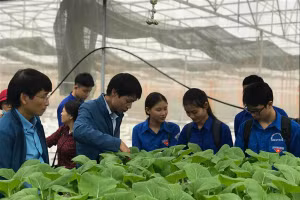 Đào tạo nghề tại chỗ tại một số vùng còn chưa đồng đều. Ảnh minh họa