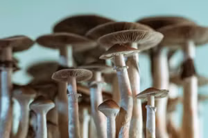 Suýt mất mạng vì tự tiêm nấm “ma thuật” 