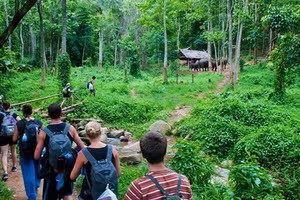 Hình ảnh trong rừng quốc gia Cúc Phương.