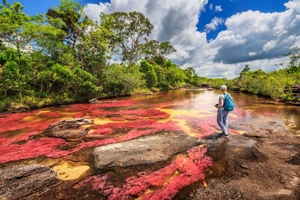 “Dòng sông trốn xuống từ thiên đường” Caño Cristal.